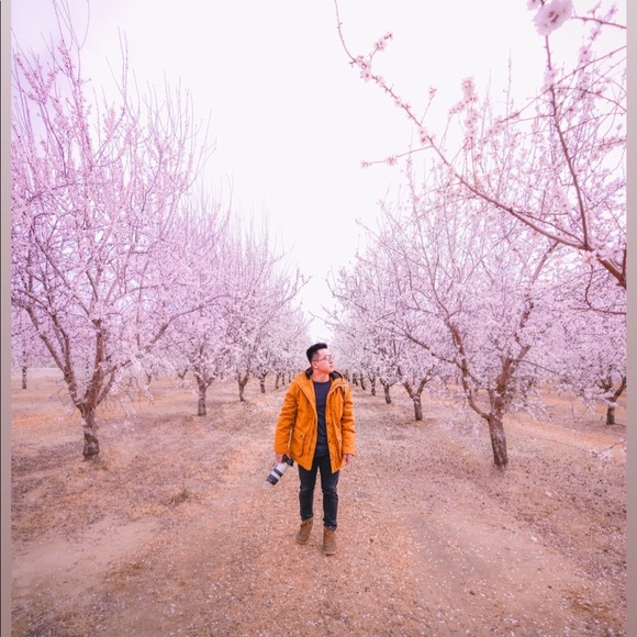 Meet your Posher, Erwin - Picture 1 of 1